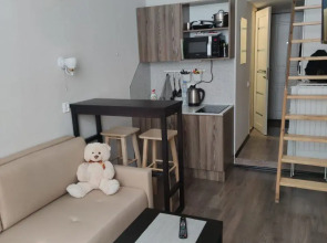 Апартаменты Уютная Двухуровневая Студия в Центре Города