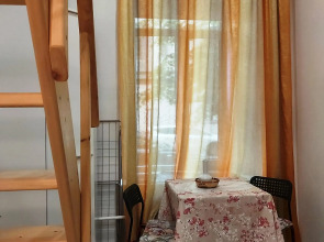 Апартаменты Студия Питерская Макадамия