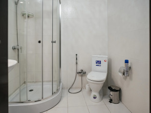 Отель Гостиница Гости