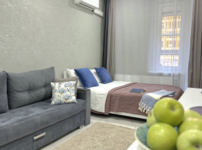 Апартаменты на Курынова