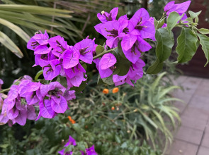 Гостевой дом Морская сказка