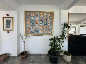 Bellapais Oasis Hotel