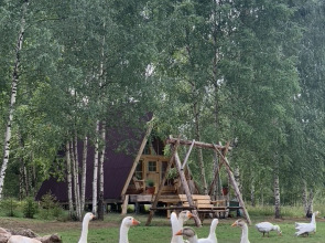 База отдыха ZAгород