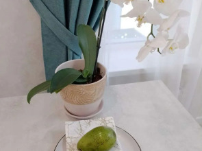 Квартира на Бехтерева 2Б