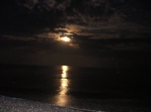 Отель Gala Paradise