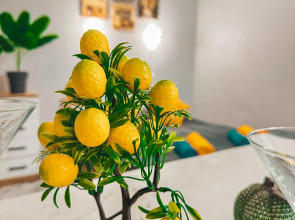 Апартаменты Студия у Базалики Екатерины