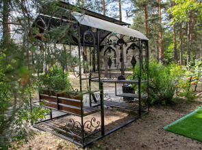 Отель Сосновый бор