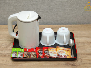 Отель Hotel Afsona