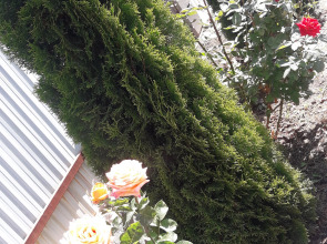 Гостевой Дом Эдем Иссык-Куль