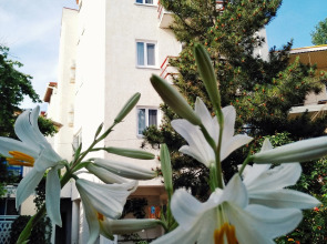 Отель Белый