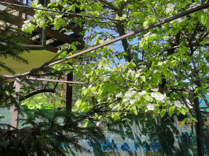 Гостевой дом на Горького