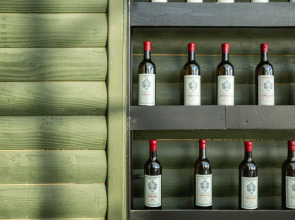 Отель Roshe Gudauri