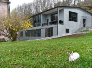 Отель Green Wood