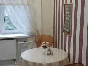 Квартира на улице Чудинцева 11/62