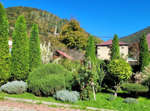 База отдыха Volkov Family