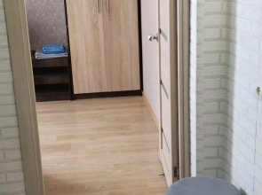 Квартира  в центре Новомосковска