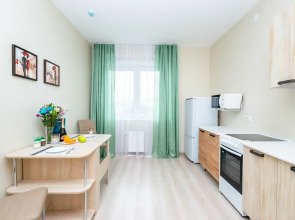 Апартаменты Cosmos Apart на Революции 52 В  (1)