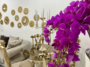 Отель Castle Family