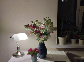 Квартира В историческом центре города