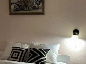 Квартира на Савушкина 46