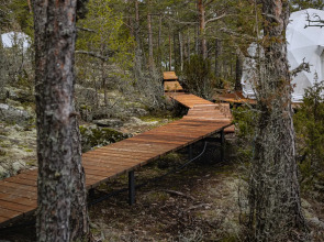 Глэмпинг Lago Ladoga