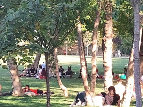 Апартаменты Kiwi