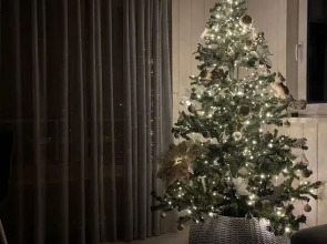 Частный дом Баpнxауc в Сосновом Бору