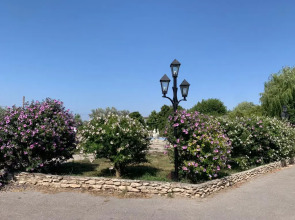 Апартаменты Семейные Viktoria