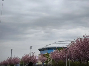 Квартира на Сельме