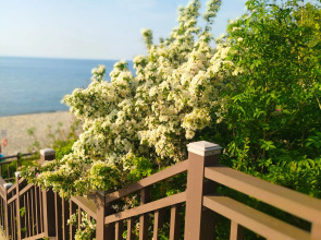 Апартаменты в Резиденции у моря