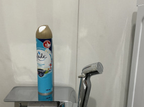 Квартира Papakarla Home