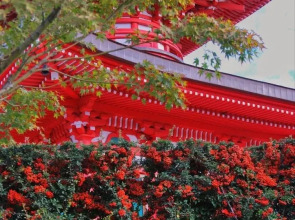 Апартаменты Сутки В Крд у Парка Галицкого