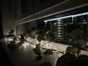 Квартира на  Конгрессной