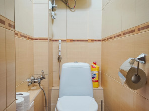 Апартаменты 3-комнатные Zoya-Apart