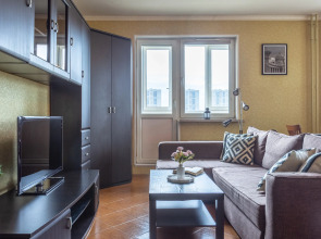 Квартира Евро-2 на Неве