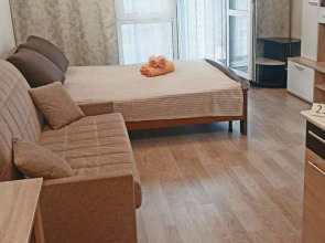 Апартаменты Финский 1А/15