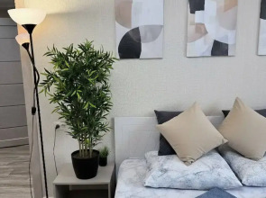 Апартаменты Bragin Hill