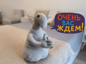 Квартира ЕвроДвушка в Самом Сердце Ярославля