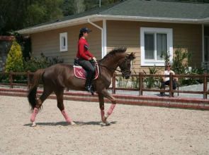 Бутик-отель Padok Premium Hotel & Stables