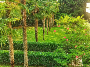 Отель Чайка ТОК