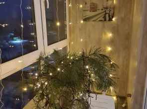 Квартира с видом на море