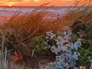 Апартаменты у моря Балтийский Бриз студио 5