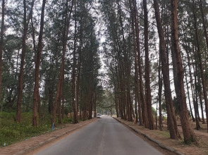 Апартаменты AuroraThai