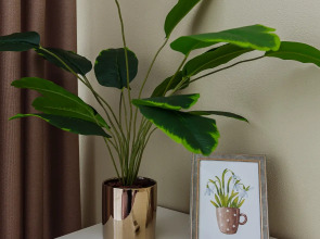 Квартира Очень большая квартира на берегу озера в Калининграде рядом с Рыбной деревней и Кафедральным собором