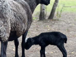 База отдыха ZAгород