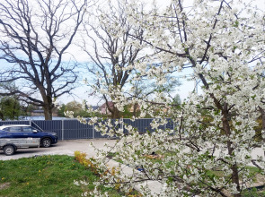 Апартаменты у озера