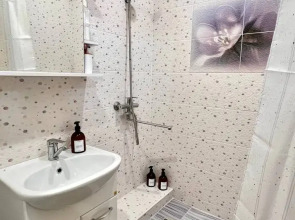 Квартира Однокомнатная на Кошевого 25с1 1