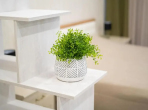 Apartments Malina Alt Platz 41-54-55