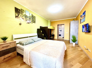 Апартаменты двухкомнатные на 11 Этаже в ЖК Современник с видом на реку Волгу