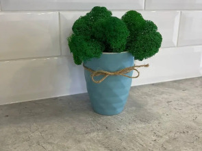 Квартира на Малой Финляндии